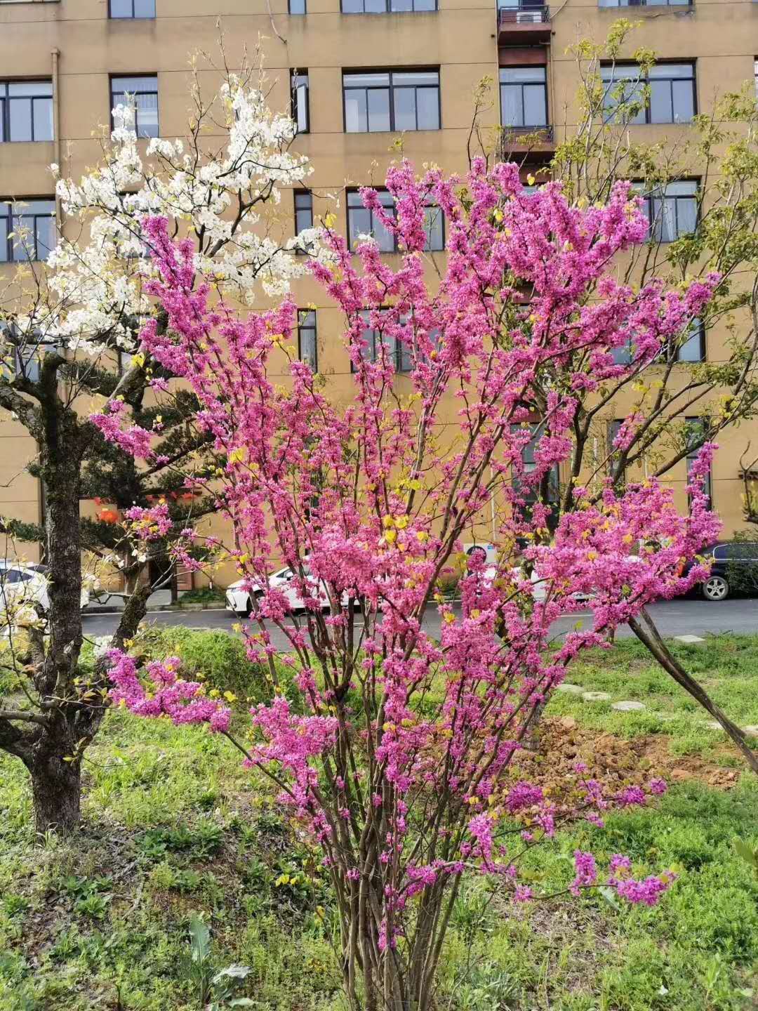 昊東花園廠房